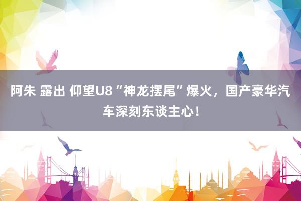 阿朱 露出 仰望U8“神龙摆尾”爆火，国产豪华汽车深刻东谈主心！