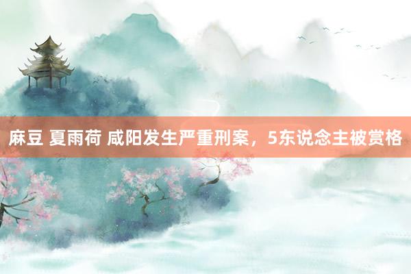 麻豆 夏雨荷 咸阳发生严重刑案，5东说念主被赏格