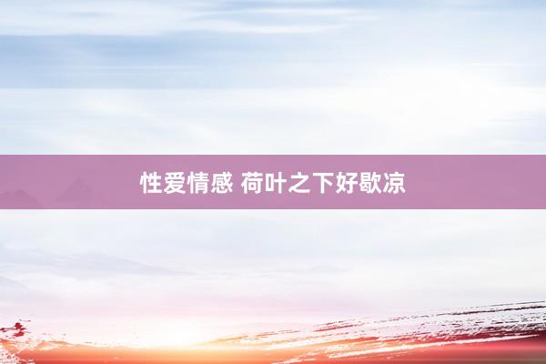 性爱情感 荷叶之下好歇凉