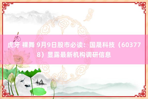 虎牙 裸舞 9月9日股市必读：国晟科技（603778）显露最新机构调研信息