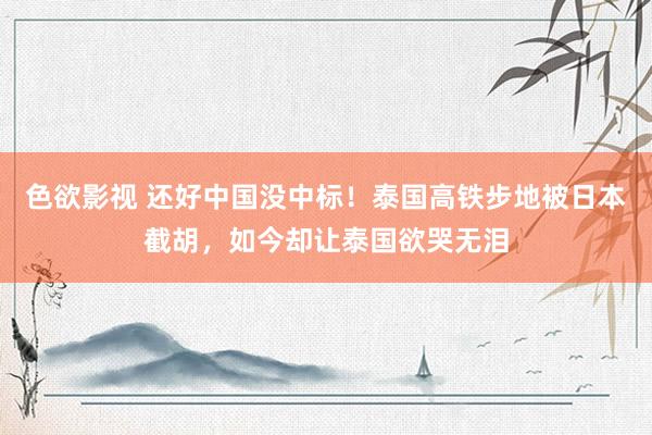 色欲影视 还好中国没中标！泰国高铁步地被日本截胡，如今却让泰国欲哭无泪