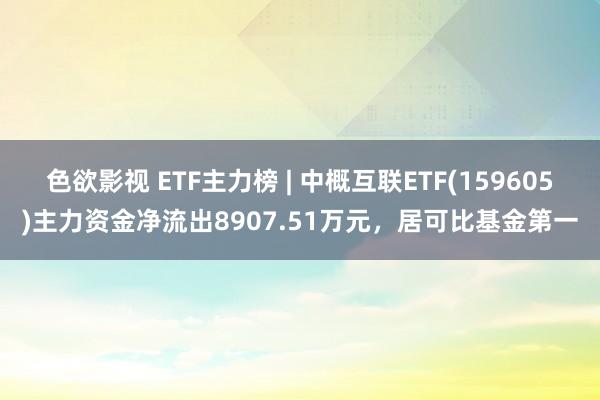 色欲影视 ETF主力榜 | 中概互联ETF(159605)主力资金净流出8907.51万元，居可比基金第一