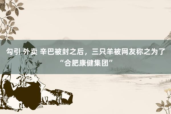 勾引 外卖 辛巴被封之后，三只羊被网友称之为了“合肥康健集团”
