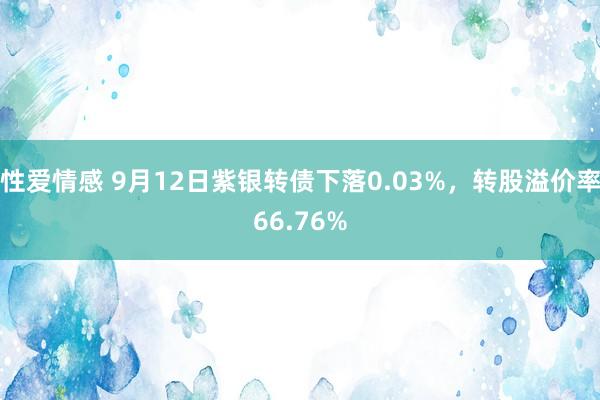 性爱情感 9月12日紫银转债下落0.03%，转股溢价率66.76%