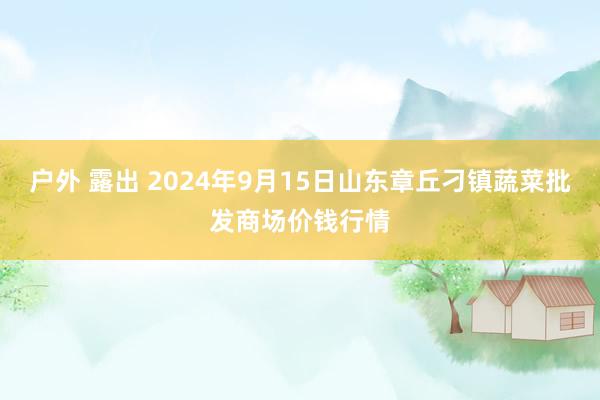 户外 露出 2024年9月15日山东章丘刁镇蔬菜批发商场价钱行情