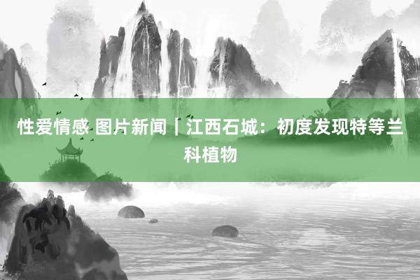 性爱情感 图片新闻｜江西石城：初度发现特等兰科植物