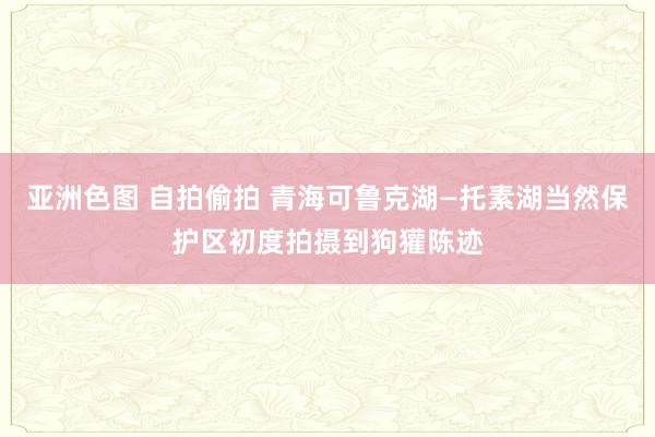 亚洲色图 自拍偷拍 青海可鲁克湖—托素湖当然保护区初度拍摄到狗獾陈迹