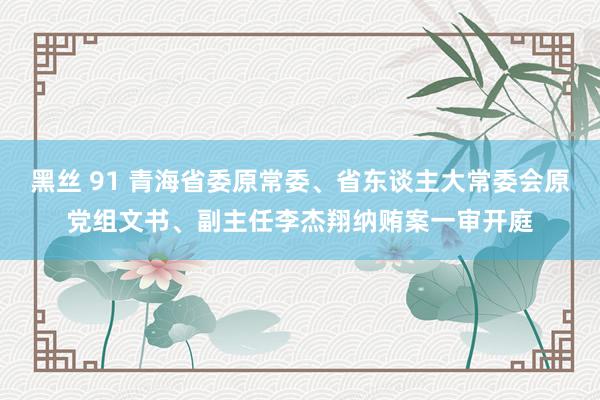 黑丝 91 青海省委原常委、省东谈主大常委会原党组文书、副主任李杰翔纳贿案一审开庭