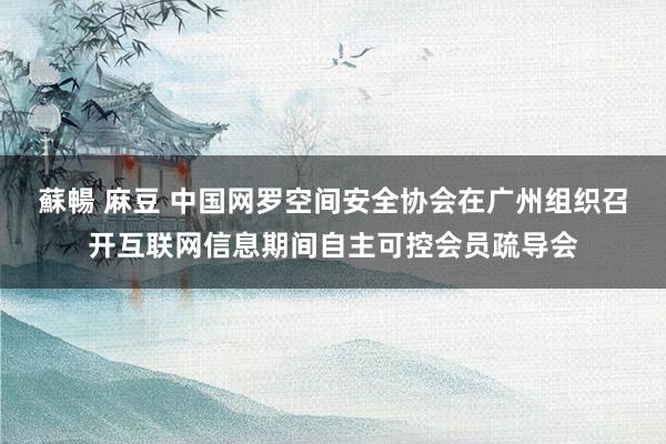 蘇暢 麻豆 中国网罗空间安全协会在广州组织召开互联网信息期间自主可控会员疏导会