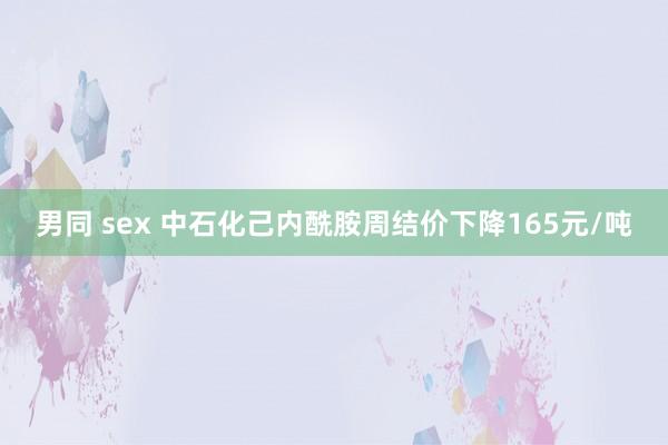 男同 sex 中石化己内酰胺周结价下降165元/吨