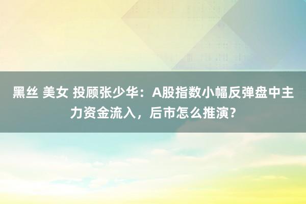 黑丝 美女 投顾张少华：A股指数小幅反弹盘中主力资金流入，后市怎么推演？