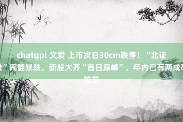chatgpt 文爱 上市次日30cm跌停！“北证少壮”闹翻暴跌，新股大齐“首日巅峰”，年内已有两成破发
