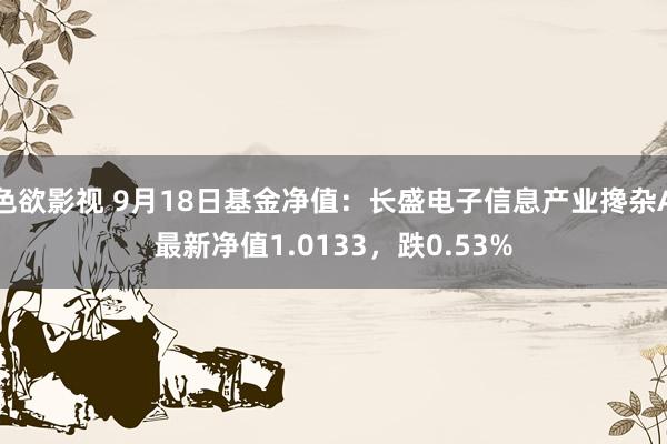 色欲影视 9月18日基金净值：长盛电子信息产业搀杂A最新净值1.0133，跌0.53%
