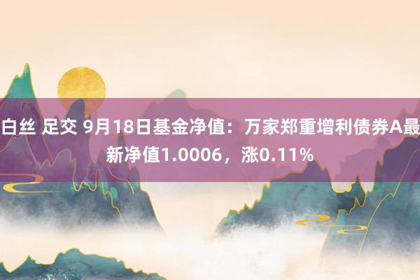 白丝 足交 9月18日基金净值：万家郑重增利债券A最新净值1.0006，涨0.11%