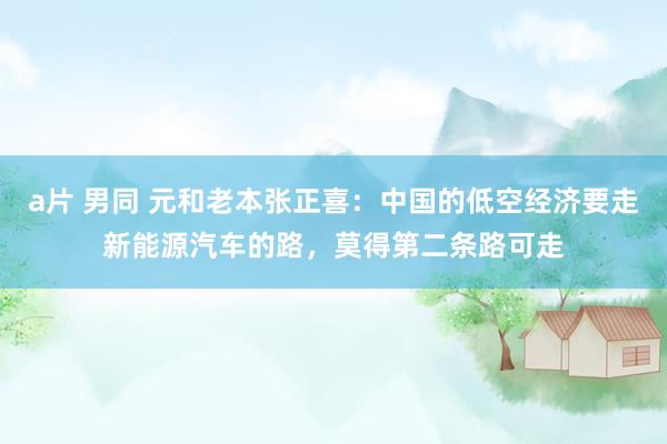 a片 男同 元和老本张正喜：中国的低空经济要走新能源汽车的路，莫得第二条路可走