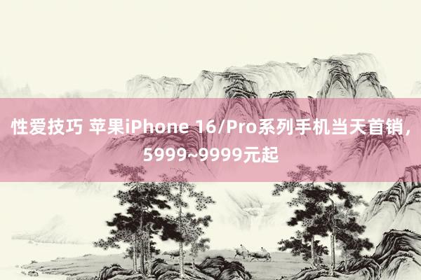 性爱技巧 苹果iPhone 16/Pro系列手机当天首销，5999~9999元起