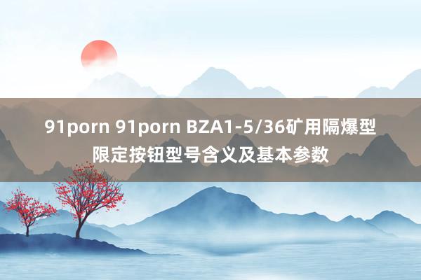 91porn 91porn BZA1-5/36矿用隔爆型限定按钮型号含义及基本参数
