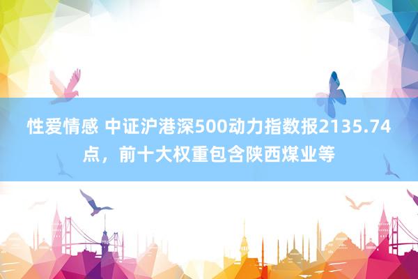 性爱情感 中证沪港深500动力指数报2135.74点，前十大权重包含陕西煤业等