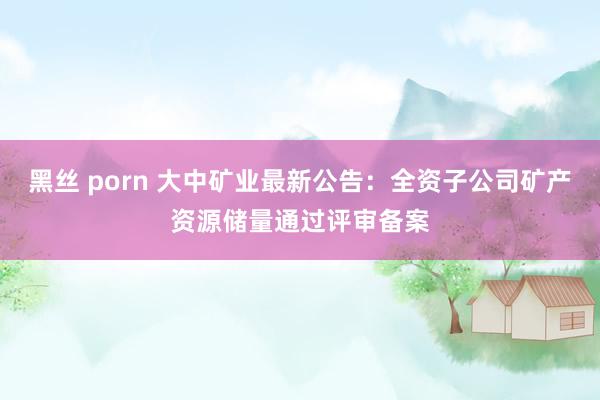 黑丝 porn 大中矿业最新公告：全资子公司矿产资源储量通过评审备案