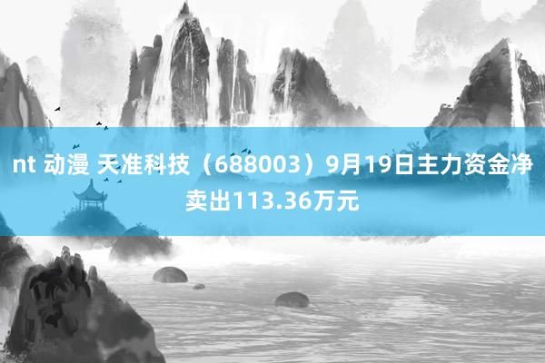 nt 动漫 天准科技（688003）9月19日主力资金净卖出113.36万元