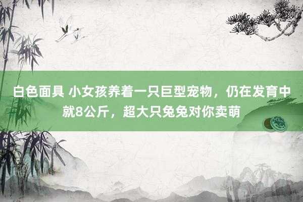 白色面具 小女孩养着一只巨型宠物，仍在发育中就8公斤，超大只兔兔对你卖萌