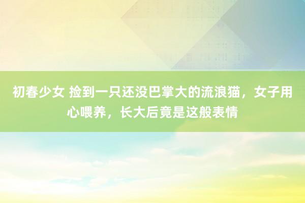 初春少女 捡到一只还没巴掌大的流浪猫，女子用心喂养，长大后竟是这般表情