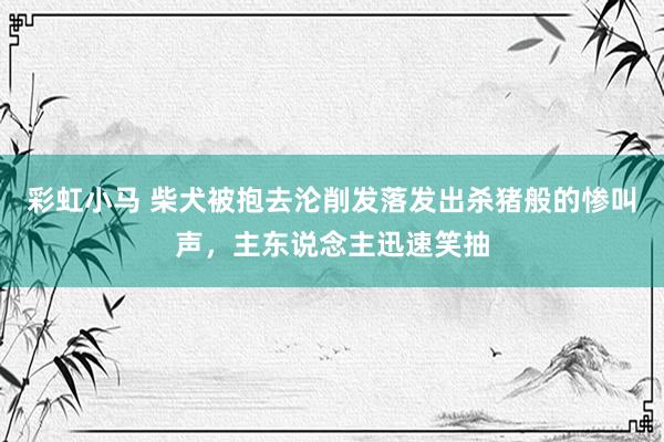彩虹小马 柴犬被抱去沦削发落发出杀猪般的惨叫声，主东说念主迅速笑抽