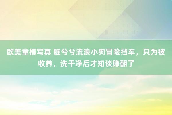 欧美童模写真 脏兮兮流浪小狗冒险挡车，只为被收养，洗干净后才知谈赚翻了