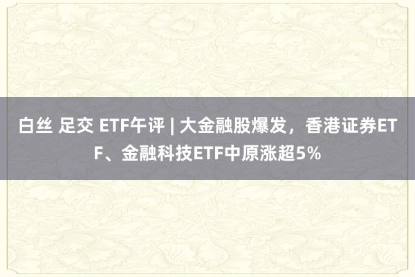 白丝 足交 ETF午评 | 大金融股爆发，香港证券ETF、金融科技ETF中原涨超5%