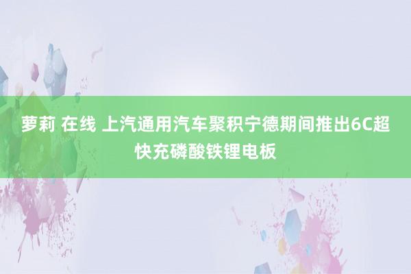 萝莉 在线 上汽通用汽车聚积宁德期间推出6C超快充磷酸铁锂电板