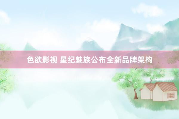 色欲影视 星纪魅族公布全新品牌架构