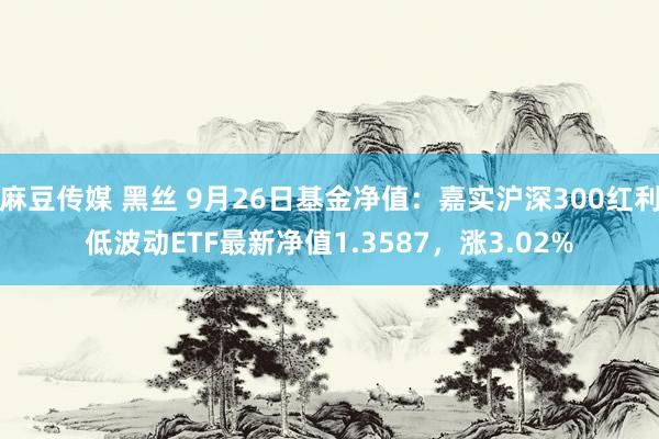 麻豆传媒 黑丝 9月26日基金净值：嘉实沪深300红利低波动ETF最新净值1.3587，涨3.02%