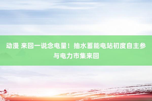 动漫 来回一说念电量！抽水蓄能电站初度自主参与电力市集来回