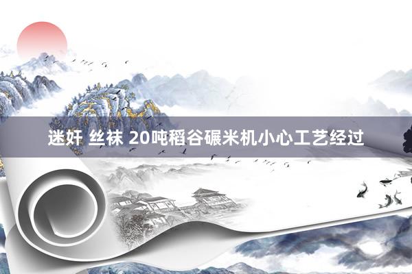 迷奸 丝袜 20吨稻谷碾米机小心工艺经过