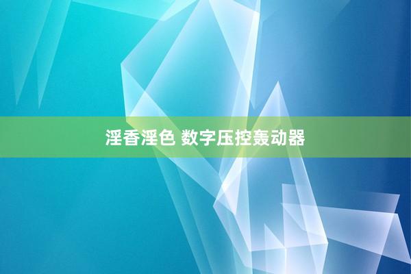 淫香淫色 数字压控轰动器