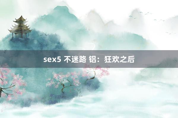 sex5 不迷路 铝：狂欢之后