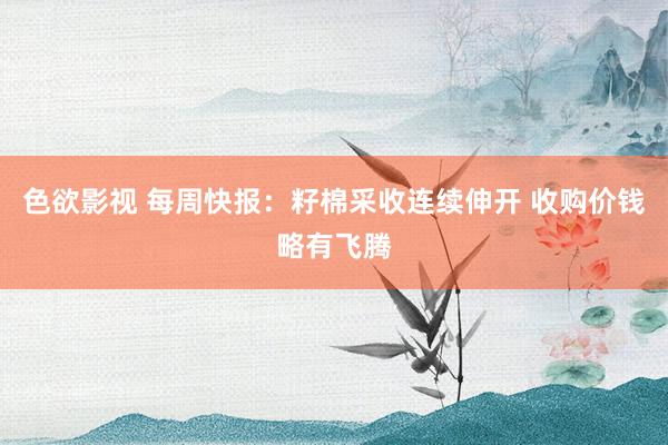 色欲影视 每周快报：籽棉采收连续伸开 收购价钱略有飞腾