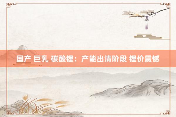 国产 巨乳 碳酸锂：产能出清阶段 锂价震憾