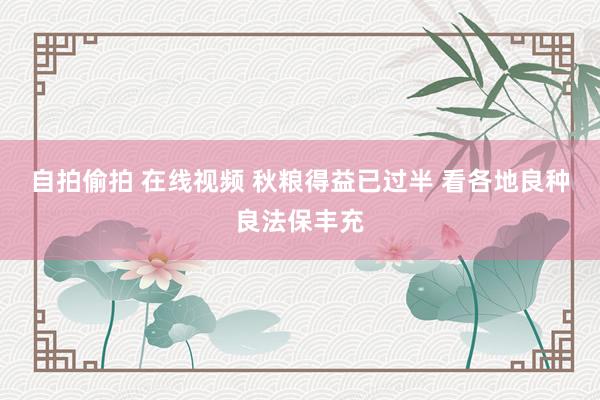 自拍偷拍 在线视频 秋粮得益已过半 看各地良种良法保丰充