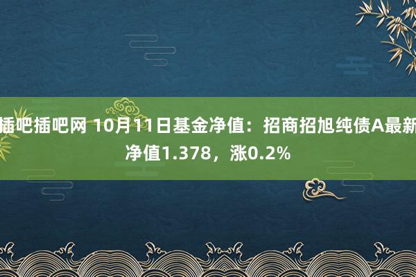 插吧插吧网 10月11日基金净值：招商招旭纯债A最新净值1.378，涨0.2%