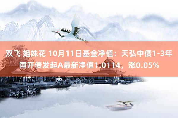 双飞 姐妹花 10月11日基金净值：天弘中债1-3年国开债发起A最新净值1.0114，涨0.05%