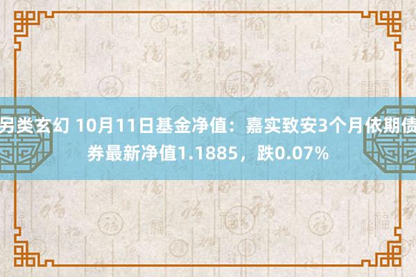 另类玄幻 10月11日基金净值：嘉实致安3个月依期债券最新净值1.1885，跌0.07%