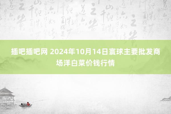 插吧插吧网 2024年10月14日寰球主要批发商场洋白菜价钱行情