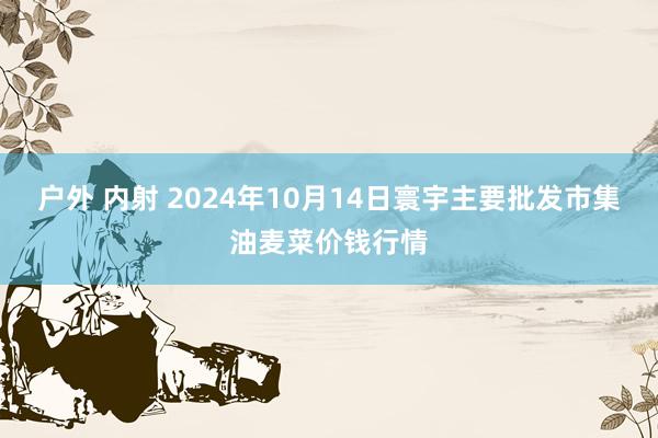 户外 内射 2024年10月14日寰宇主要批发市集油麦菜价钱行情