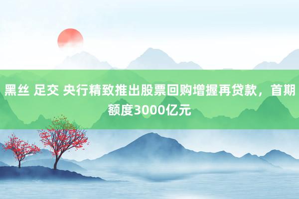 黑丝 足交 央行精致推出股票回购增握再贷款，首期额度3000亿元