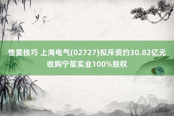 性爱技巧 上海电气(02727)拟斥资约30.82亿元收购宁笙实业100%股权
