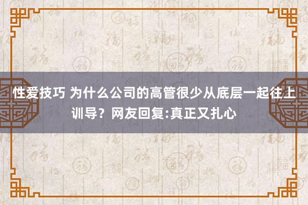 性爱技巧 为什么公司的高管很少从底层一起往上训导？网友回复:真正又扎心