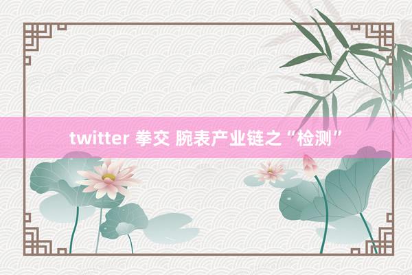 twitter 拳交 腕表产业链之“检测”