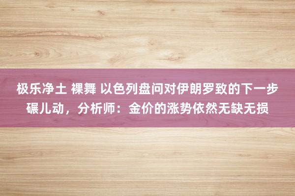 极乐净土 裸舞 以色列盘问对伊朗罗致的下一步碾儿动，分析师：金价的涨势依然无缺无损
