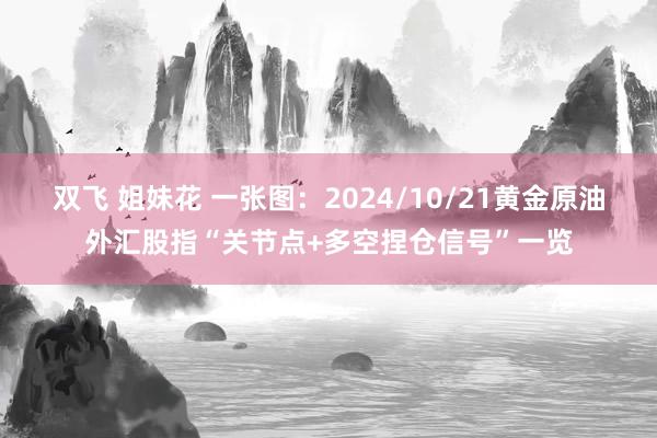 双飞 姐妹花 一张图：2024/10/21黄金原油外汇股指“关节点+多空捏仓信号”一览